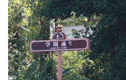 学園通り
