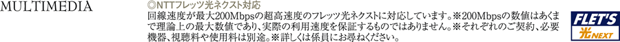 セイガステージ新小平　マルチメディア